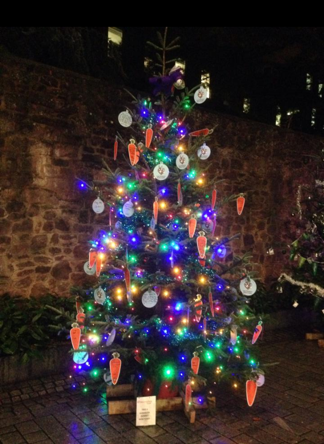 charity christmas tree festival set to light up charity christmas tree festival set to light up