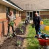 Improving the flower beds
