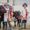 New Dexter Young Handler Classes at 2026 Devon County Show.