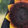 Sunflower Brooch