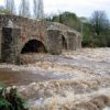 Historic Bickleigh Bridge to reopen earlier than planned