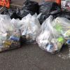 Some of the litter collected by CPRE Devon at Sowton, Exeter