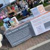 Cranbrook festival