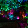 Illuminations in Connaught Gardens