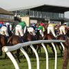 New Year’s Day at Exeter Racecourse is one of our county’s finest sporting occasions and it’s a day not to be missed.