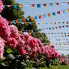 RHS Rosemoor Garden Festival Beautifully arranged flowers form an avenue with colourful bunting above