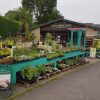 The Garden Shop in Colyton