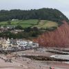 Sidmouth Folk Festival