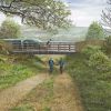 Planning application submitted for next section of Teign Estuary Trail