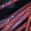 Connecting Devon and Somerset has warmly welcomed further investment in broadband 