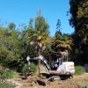 flambingo enclosure excavation
