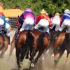 jockeys racing horses