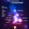 Microbusiness infographic from businessfinanced.co.uk