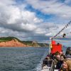 Cruising along the South Devon Coastline