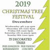 Crediton Parish Church Christmas Tree Festival