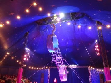 Paulos Circus comes to Exeter
