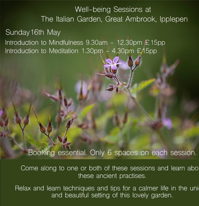 Introduction to Mindfulness - Well-being Sessions