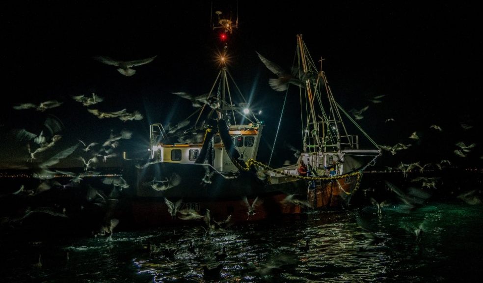 1st place Sardines and Gulls, Sam Mansfield. Instagram @cornwallsnorkel 1st place Sardines and Gulls, Sam Mansfield. Instagram @cornwallsnorkel