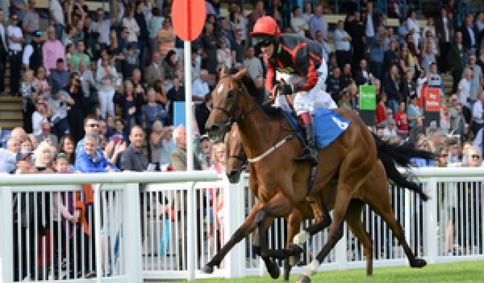 Newton Abbot Racecourse