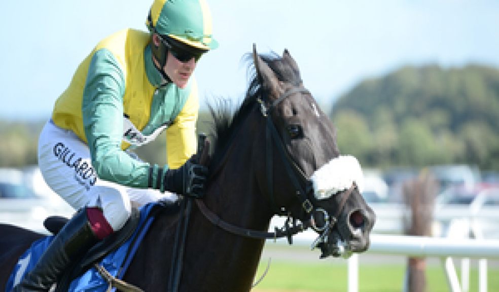 Newton Abbot Racecourse