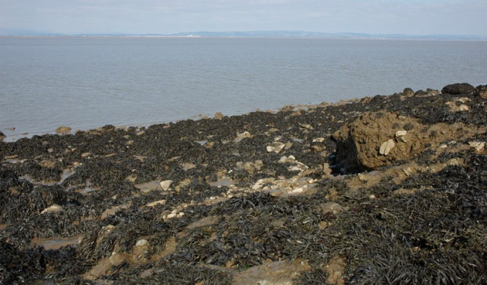 © Copyright Philip Halling and licensed for reuse under this Creative Commons Licence.