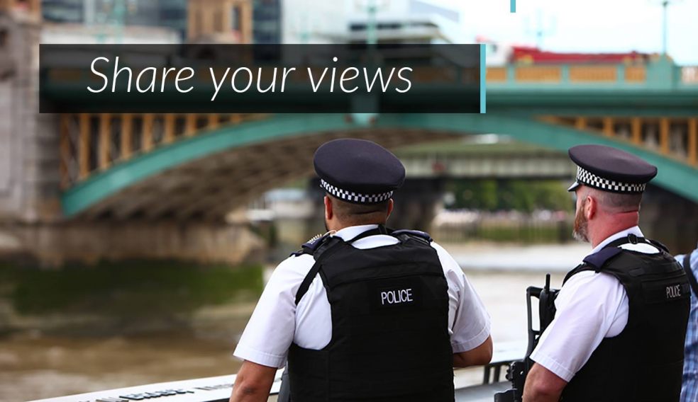 Views sought over police