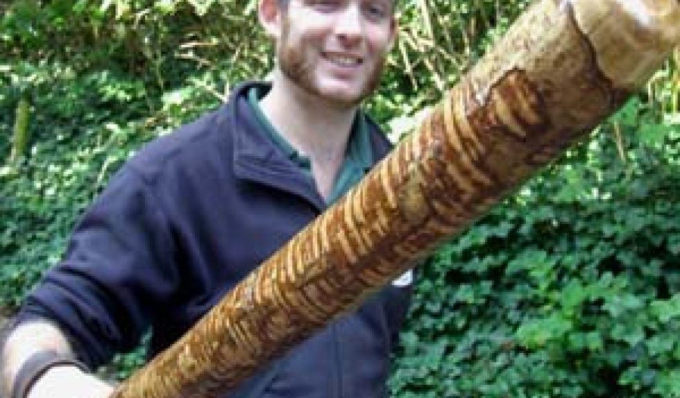 Conservation in action
