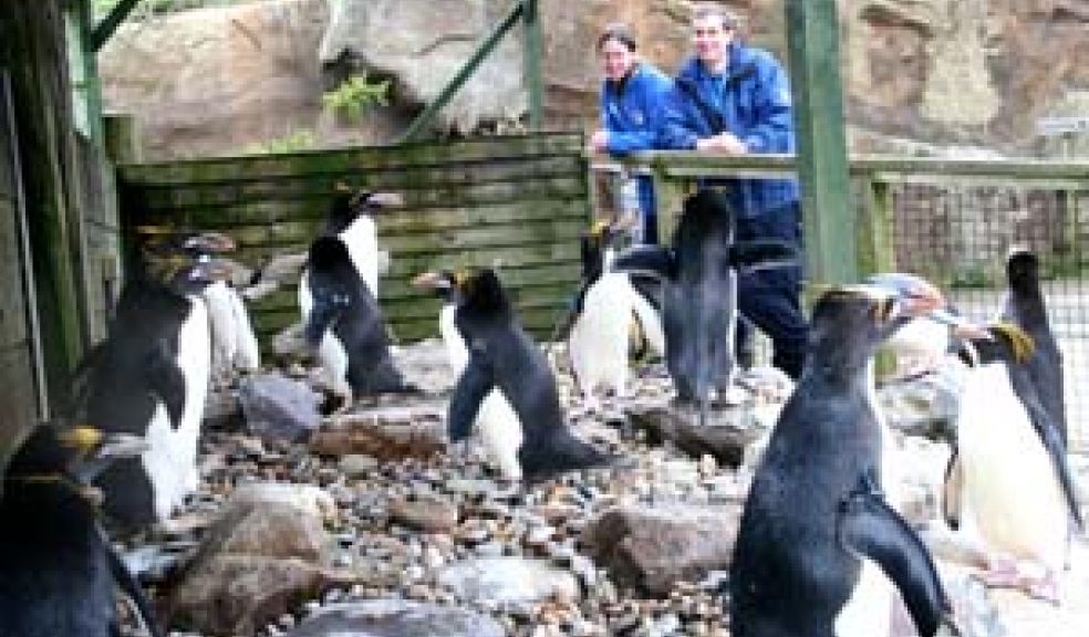 Keepers keep watch at Living Coasts