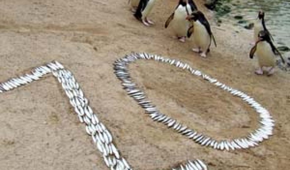 Penguins count to ten!