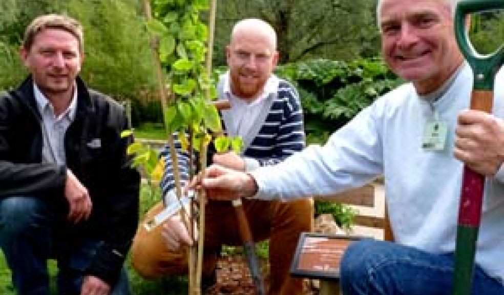 Remembering John Davey