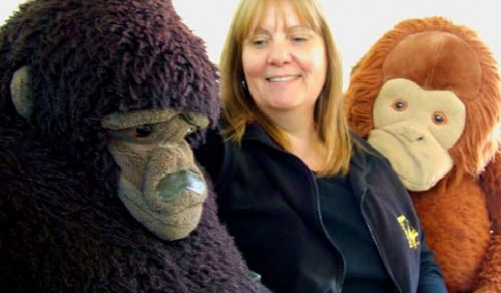 Koko and friends