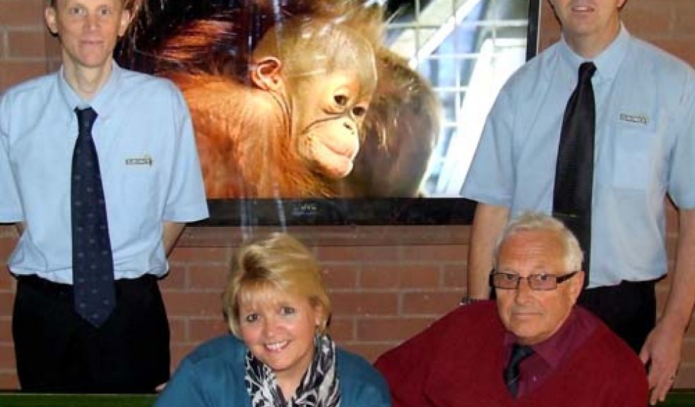 Orang TV at Paignton Zoo