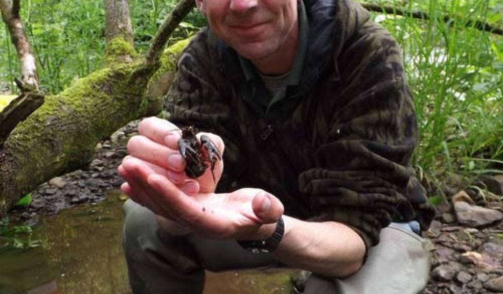 Secret location - collecting crayfish