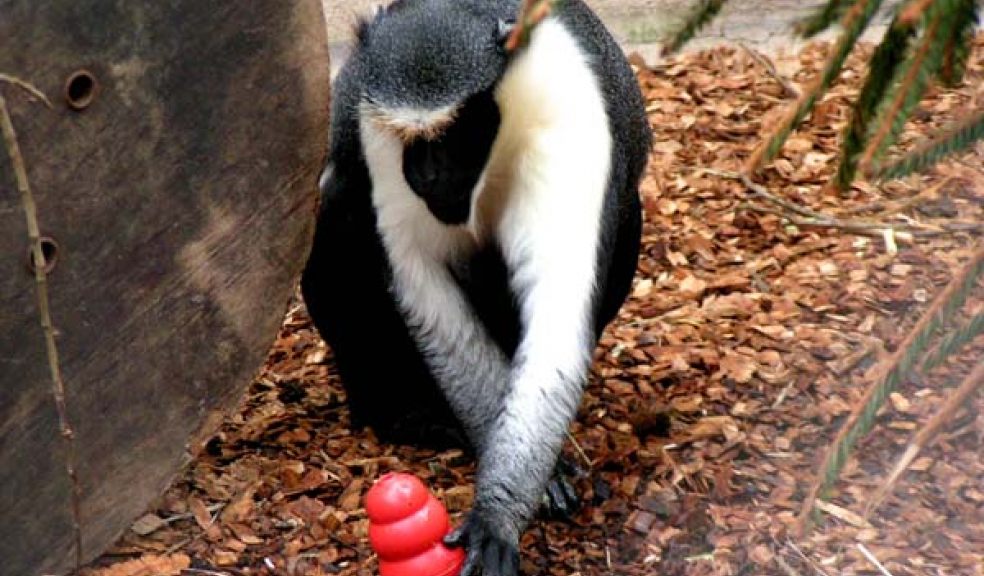 Playtime!