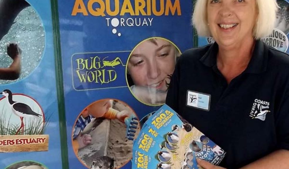 Volunteering at Living Coasts in Torquay