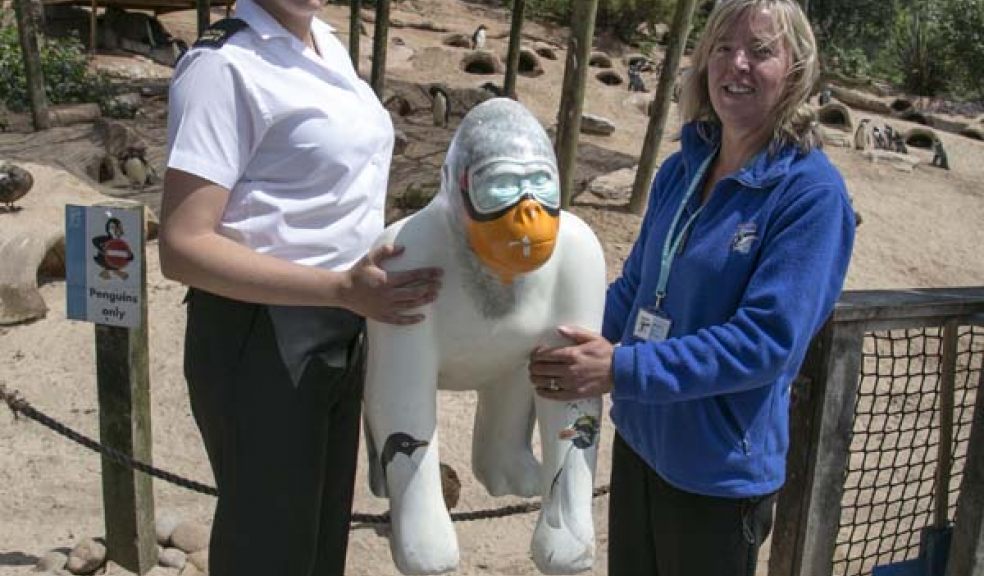 Living Coasts, Torquay