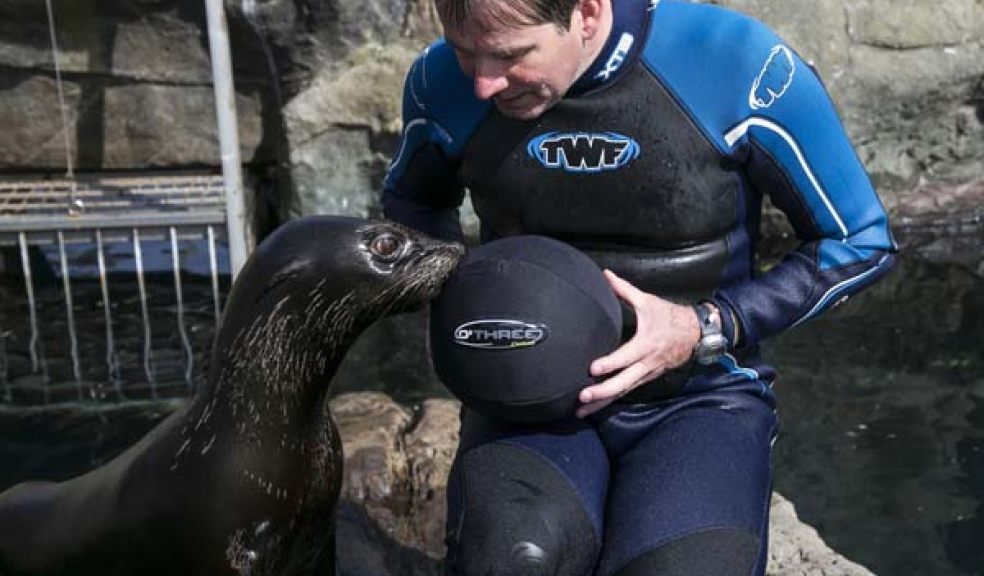 Living Coasts - play time