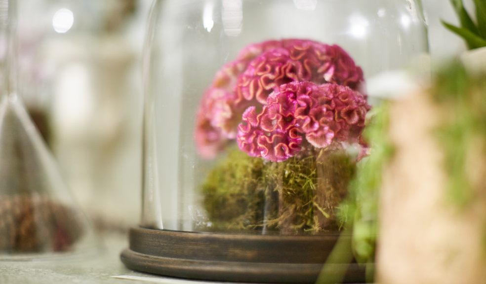 Photo: Academy of Floral Art @AcademyofFloral / James Davey.