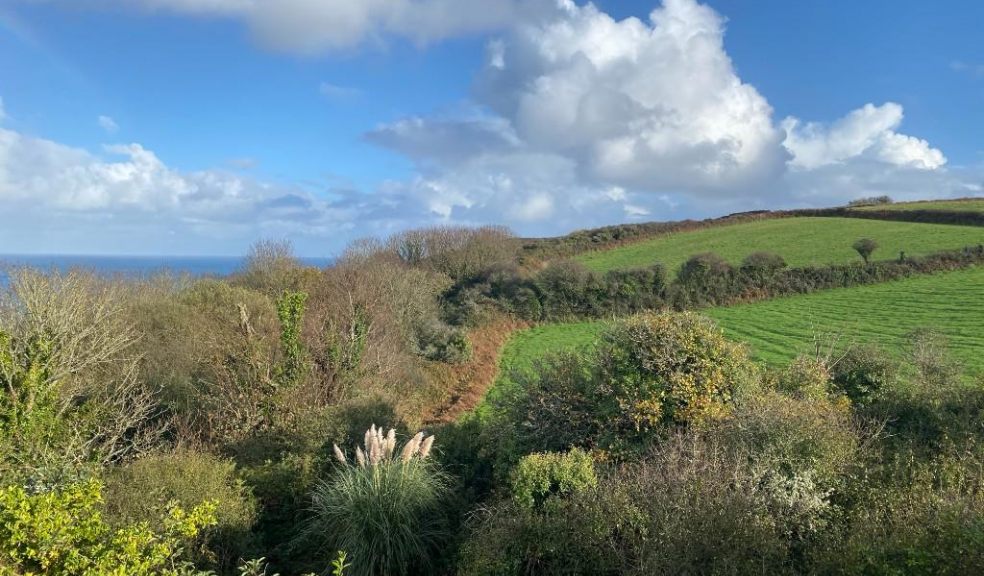 Coastguard Cottages Porthoustock view