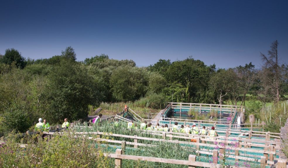 The Reedbed facility