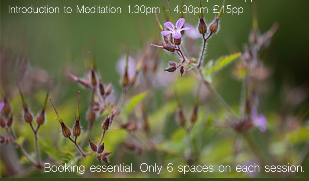 Introduction to Meditation - Well-being Session