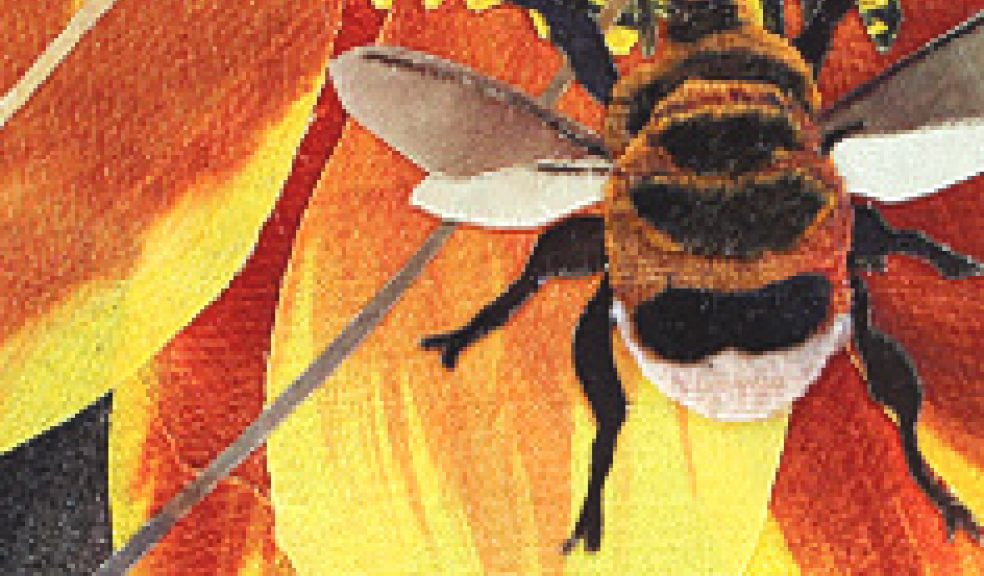 textile collahge with bumble bee