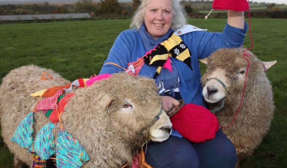 Deborah Custance Baker launches the longest knitting bunting challenge for Devon County Show 2020, the 125th Show