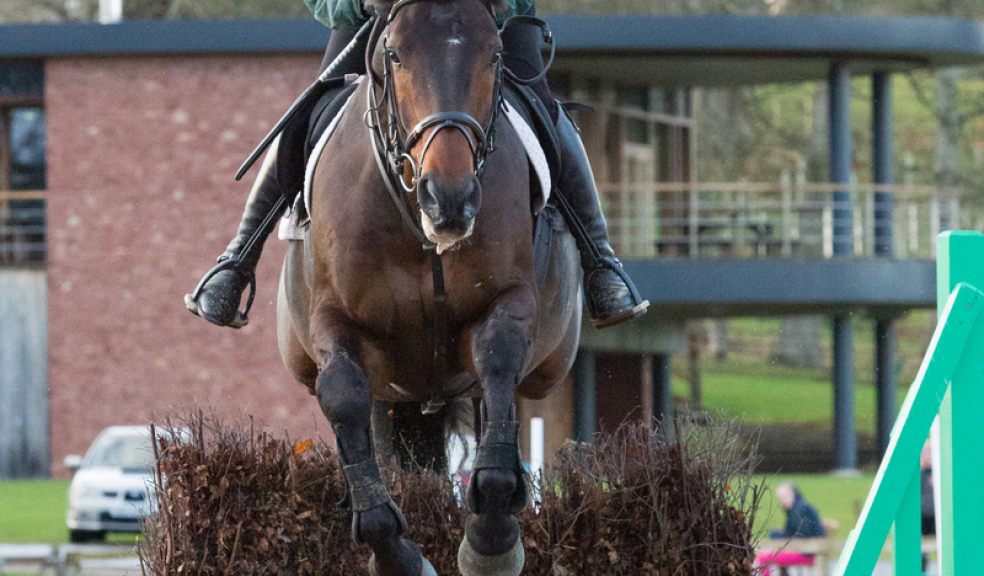 Image by www.equestrianphotographer.co.uk