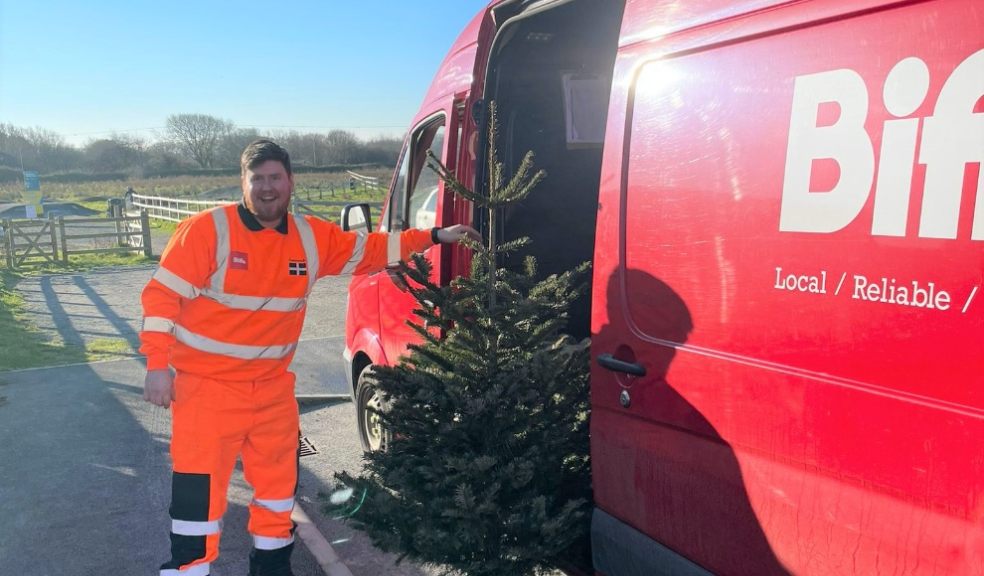 Biffa collecting trees last year.