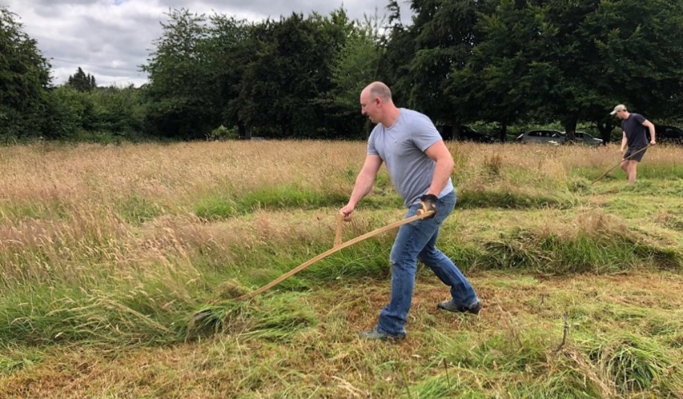 Buckfastleigh action for nature