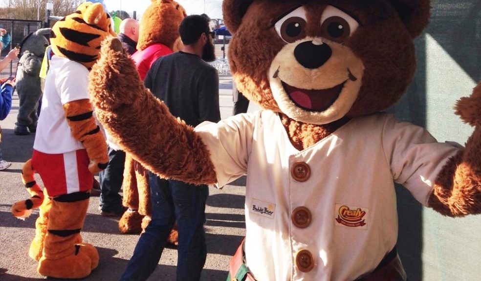Buddy Bear from Devon's Crealy Great Adventure Park at Sandy Park in Exeter