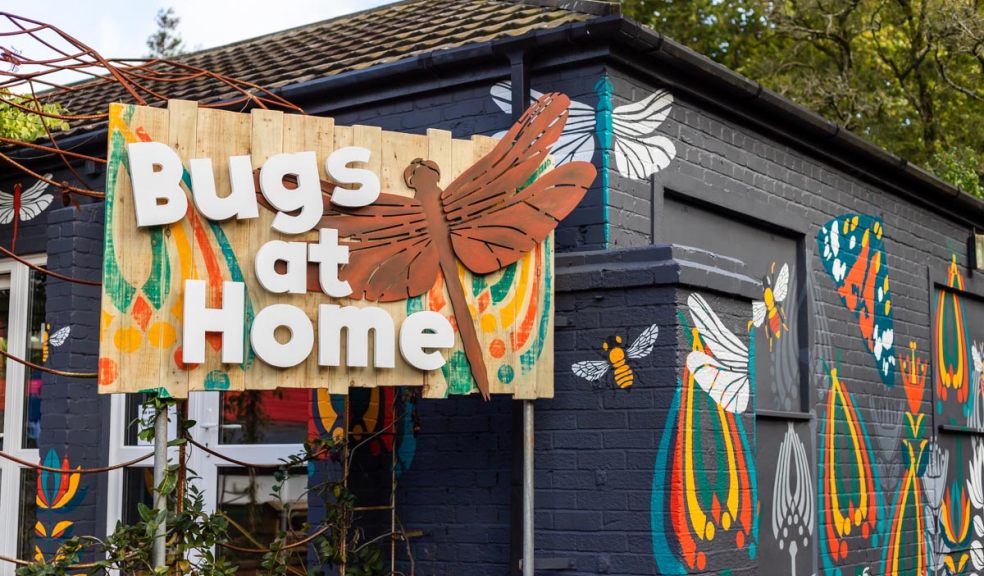 Home is where the bugs are...