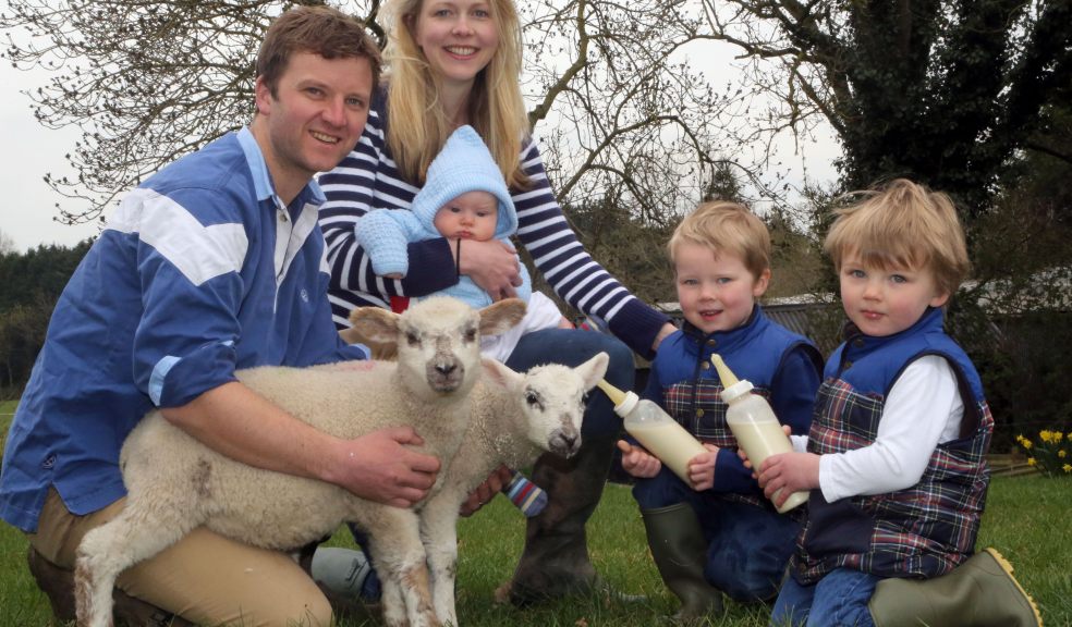 Getting set for the Devon County Show...It’s a real family affair for Jonathan and Louise Burrough with their sons Jack, Harry and baby George at Peradon Farm near Talaton, East Devon. Picture credit: Richard Austin