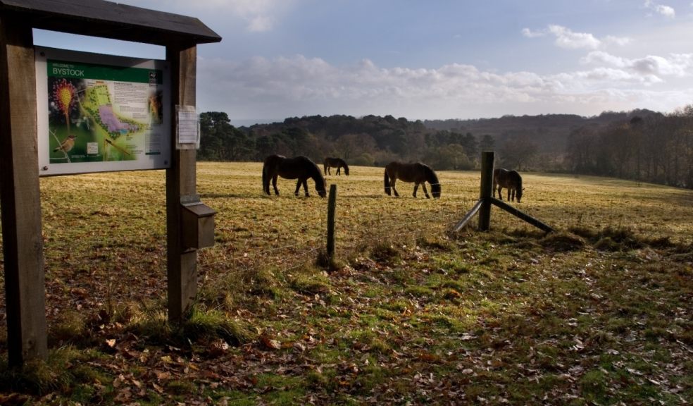 Bystock Pools by Simon Williams and Sheila Hancock